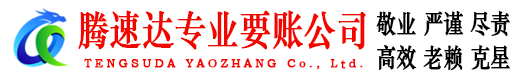 梁子湖腾速达讨债公司